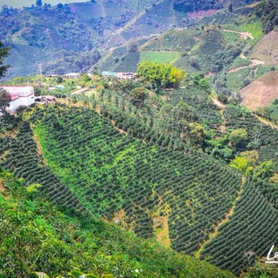 Colombia Thermal Shock Edición Limitada en Cafés La Mexicana