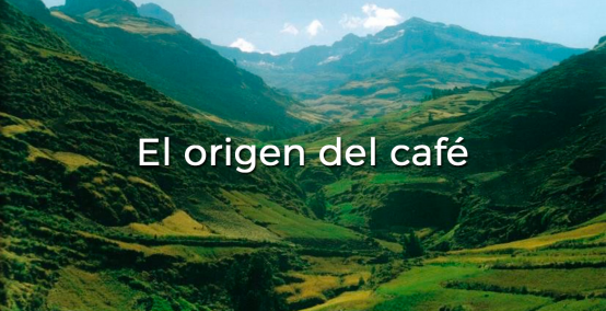 El origen del café