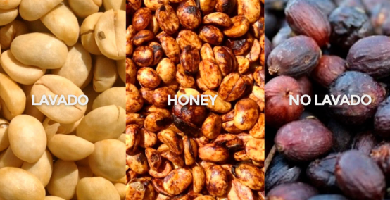 Proceso lavado, honey o no lavado