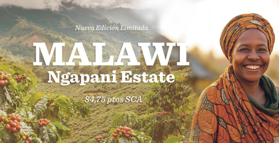 Malawi Ngapani Estate Edición Limitada