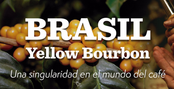 Brasil Yellow Bourbon. Nuevo Café Edición Limitada