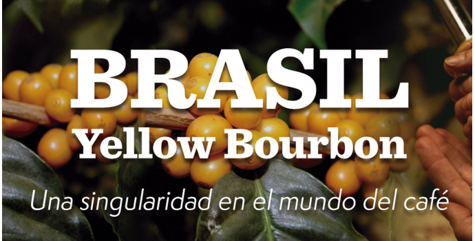 Brasil Yellow Bourbon. Nuevo Café Edición Limitada