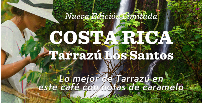 Nuevo Café ⚡ Costa Rica Tarrazú Los Santos