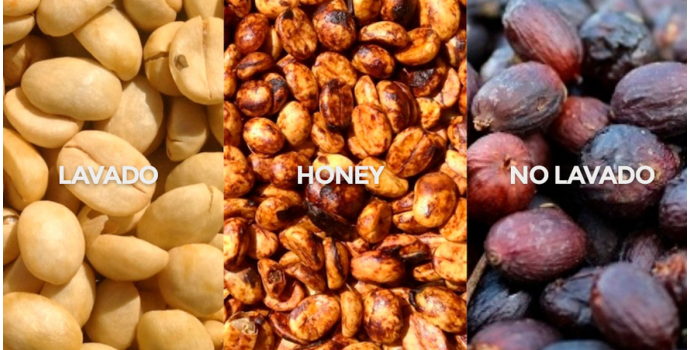 Proceso lavado, honey o no lavado